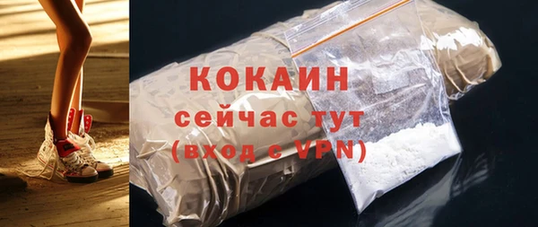 PSILOCYBIN Пересвет