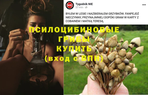 стаф Абдулино