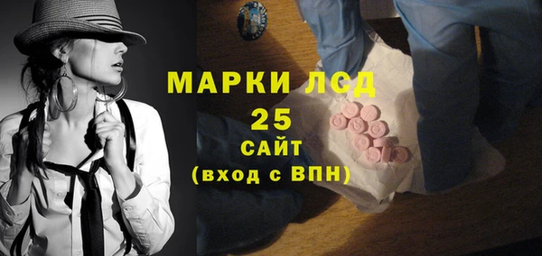 PSILOCYBIN Пересвет