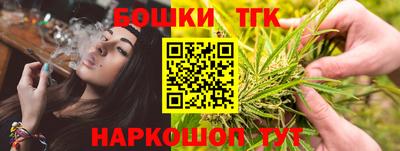 гашик Новодвинск