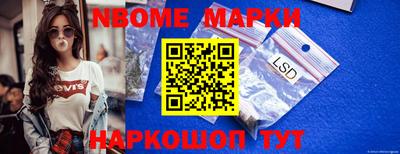 стафф Новокубанск
