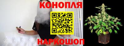 гашик Новодвинск