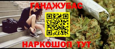 гашик Новодвинск