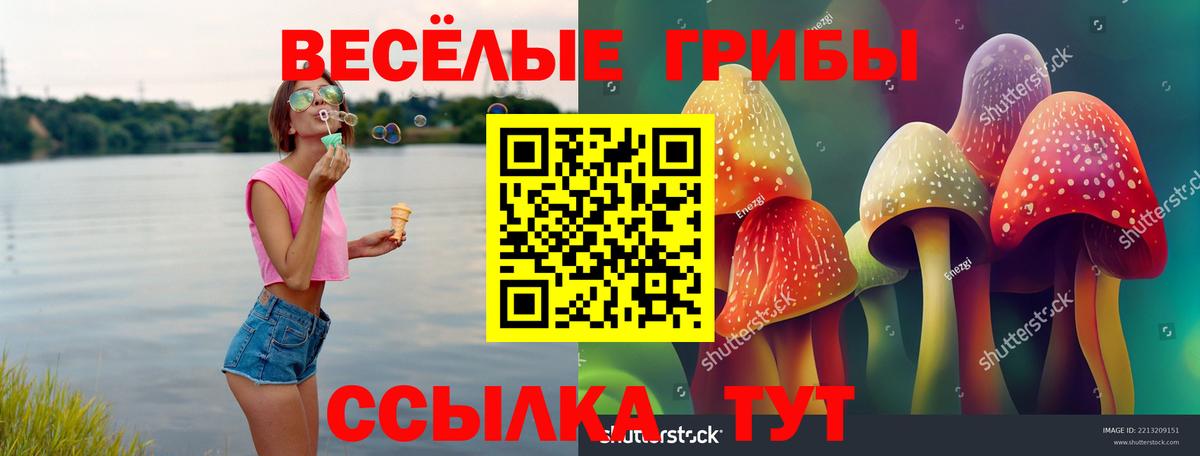 Псилоцибиновые грибы GOLDEN TEACHER  Вход с VPN  Галлюциногенные грибы прущие грибы  Отрадное 